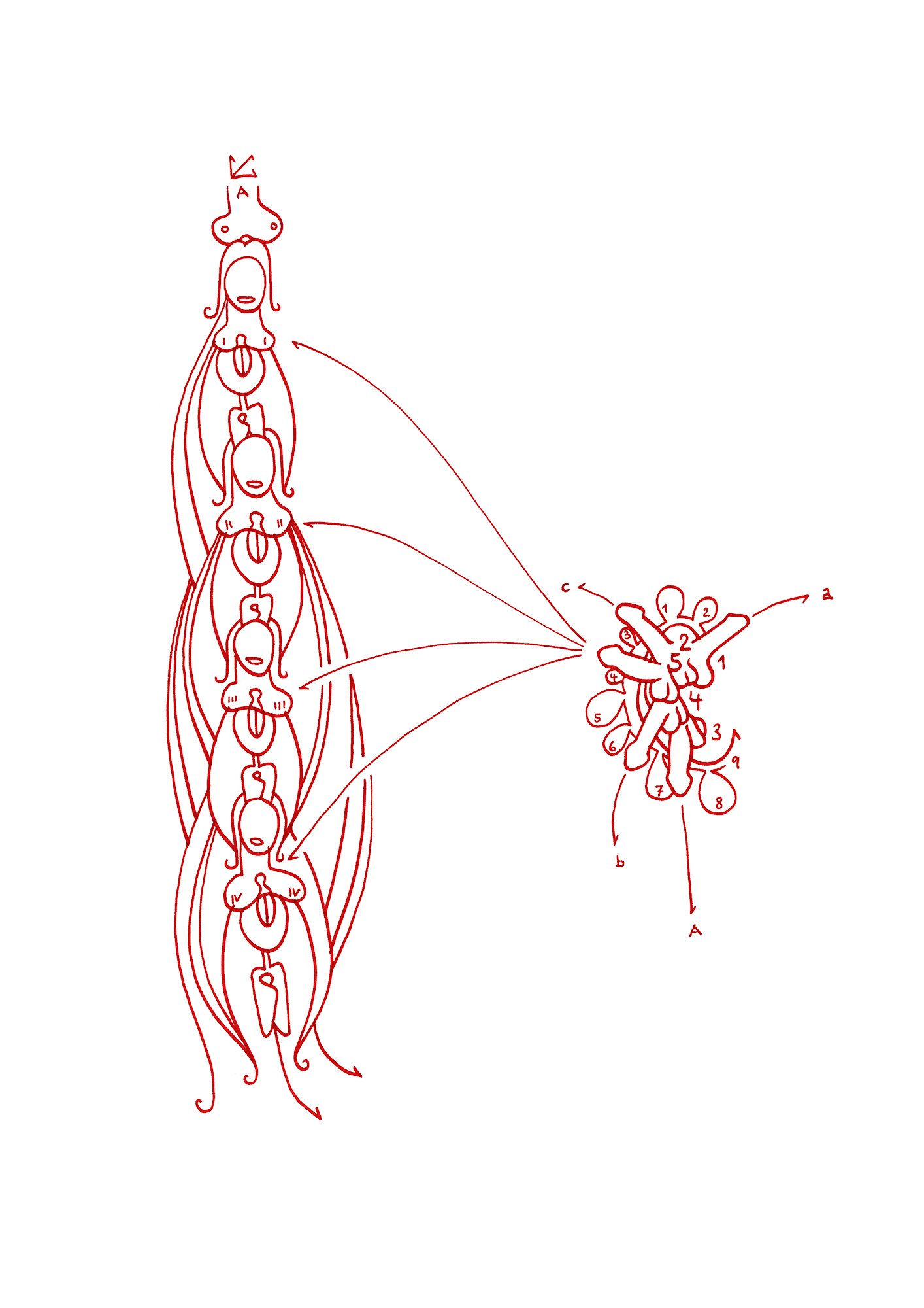 Hannes Kater  Tageszeichnung (Zeichnung/drawing) vom 01.11.2014 (1414 x 2000 Pixel)