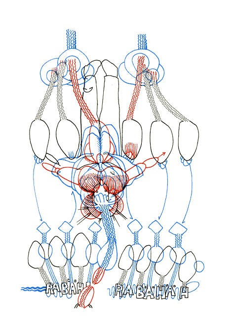 Hannes Kater - Zeichnung f&uuml;r den 02-01-2008