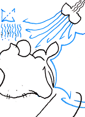 Hannes Kater  Detail einer Zeichnung aus dem Juni 2025