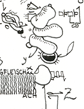 Hannes Kater  Detail einer Zeichnung aus dem Dezember 2023