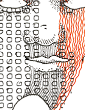 Hannes Kater  Detail einer Zeichnung aus dem Dezember 2023