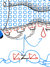 Hannes Kater  Detail einer Zeichnung aus dem Januar 2024