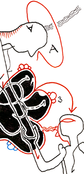 Hannes Kater  Detail einer Zeichnung aus dem Februar 2024