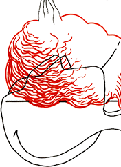 Hannes Kater  Detail einer Zeichnung aus dem Januar 2024