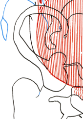 Hannes Kater  Detail einer Zeichnung aus dem Februar 2024