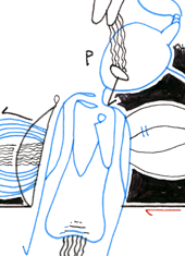 Hannes Kater  Detail einer Zeichnung aus dem Februar 2024