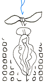 Hannes Kater  Detail einer Zeichnung aus dem Juni 2024