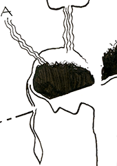 Hannes Kater  Detail einer Zeichnung aus dem November 2024