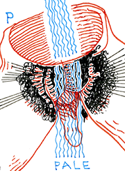 Hannes Kater  Detail einer Zeichnung aus dem April 2023
