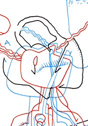 Hannes Kater  Detail einer Zeichnung aus dem Mai 2023