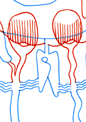 Hannes Kater  Detail einer Zeichnung aus dem Mai 2023