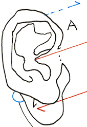 Hannes Kater  Detail einer Zeichnung aus dem August 2023