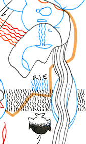 Hannes Kater  Detail einer Zeichnung aus dem August 2023