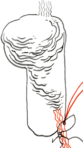 Hannes Kater  Detail einer Zeichnung aus dem Dezember 2023