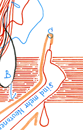 Hannes Kater  Detail einer Tageszeichnung, Oktober 2022