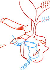 Hannes Kater  Detail einer Tageszeichnung, Dezember 2022