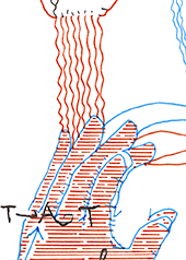 Hannes Kater  Detail Tageszeichnung vom 19.09.2016