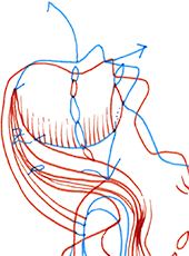 Hannes Kater  Detail einer Zeichnung aus dem Februar 2023