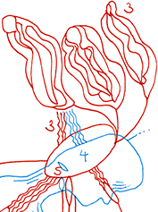 Hannes Kater  Detail einer Zeichnung aus dem Februar 2023