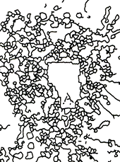 Hannes Kater  Detail einer Zeichnung aus dem M&auml;rz 2023