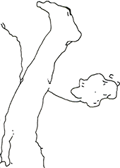 Hannes Kater  Detail einer Zeichnung aus dem M&auml;rz 2023