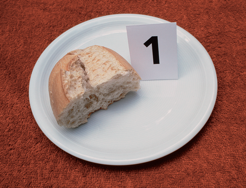 Hannes Kater: Bleckeder B&auml;ckertest. Getestetes Br&ouml;tchen Nummer 1, Bleckede 2002