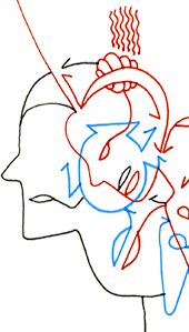 Hannes Kater  Detail einer Tageszeichnung auf Instagram, 2021