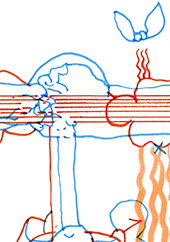 Hannes Kater  Detail einer Tageszeichnung, Oktober 2022