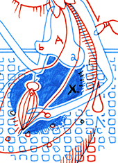 Hannes Kater  Detail einer Tageszeichnung, Oktober 2022