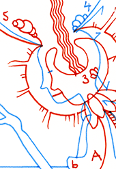 Hannes Kater  Detail einer Tageszeichnung, Oktober 2022