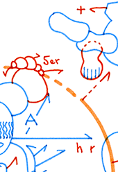 Hannes Kater  Detail einer Tageszeichnung auf Instagram, 2021