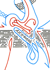 Hannes Kater  Detail einer Tageszeichnung auf Instagram, 2021