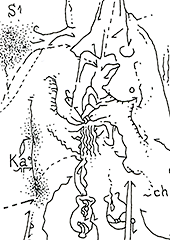 Hannes Kater  Detail einer Tageszeichnung