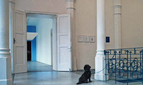 Kunstverein Hannover. Hannes Kater und Bj&ouml;rn Melhus 2001 - Situation im Treppenhaus w&auml;hrend der Ausstellung "Der Zeichnungsgenerator" 2001