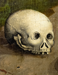 Sch&auml;del ohne Unterkiefer