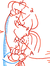 Hannes Kater  Detail einer Tageszeichnung aus der 1. KW 2020 auf Instagram