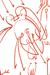 Hannes Kater  Detail einer Tageszeichnung aus der 8. KW 2020 auf Instagram