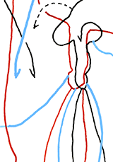 Hannes Kater  Detail einer Tageszeichnung aus der 35. KW auf Instagram