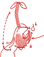 Hannes Kater  Detail Instagram-Zeichnung vom 04.08.2018