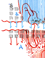 Hannes Kater  Detail Tageszeichnung vom 11.03.2018