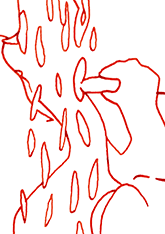 Hannes Kater  Detail Tageszeichnung vom 11.06.2018