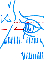 Hannes Kater  Detail Instagram-Zeichnung vom 28.10.2018