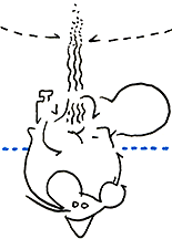 Hannes Kater  Detail Tageszeichnung vom 14.02.2017