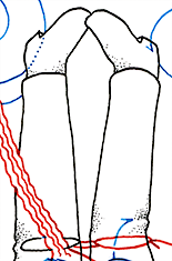Hannes Kater  Detail der Tageszeichnung vom 02.01.2018