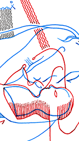 Hannes Kater  Detail der Tageszeichnung vom 05.01.2018