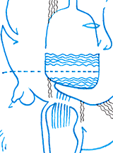 Hannes Kater  Detail Tageszeichnung vom 11.02.2018