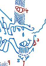 Hannes Kater  Detail Tageszeichnung vom 16.10.2015
