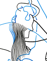 Hannes Kater  Detail der Tageszeichnung vom 23.10.2015