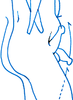 Hannes Kater  Detail Tageszeichnung vom 23.05.2016