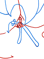 Hannes Kater  Detail Tageszeichnung vom 28.09.2016